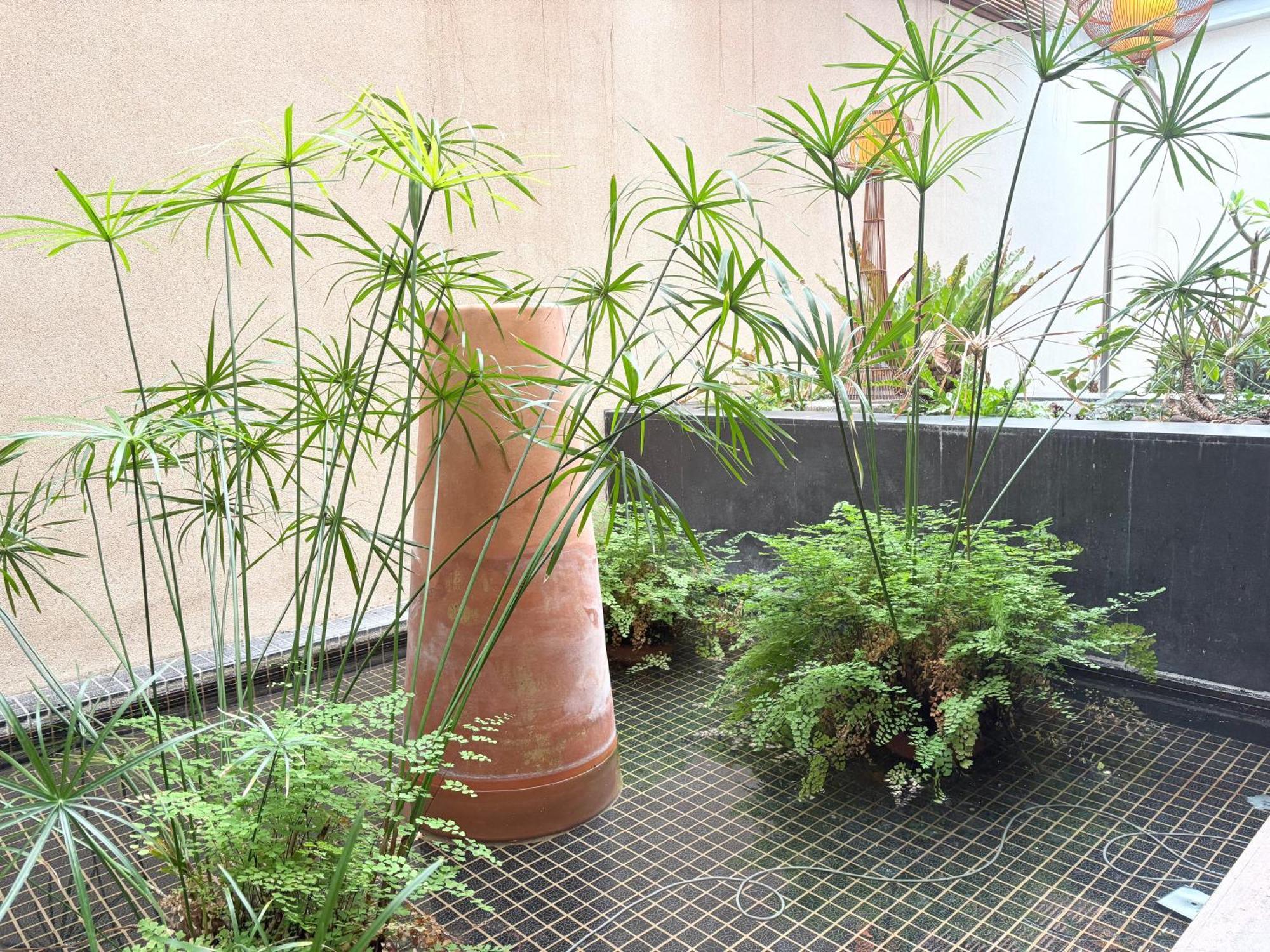 Xiadu Motel Taichung Luaran gambar